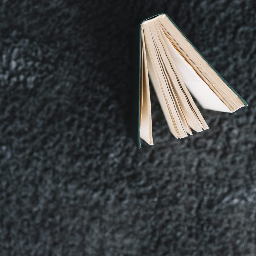 lovely-reading-composition-with-book lovely-reading-composition-with-book
